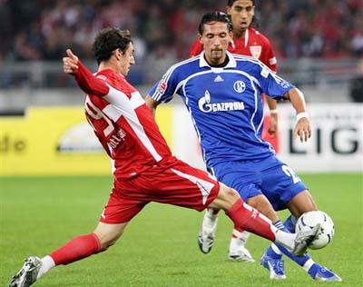 这也反映了 这也反映了